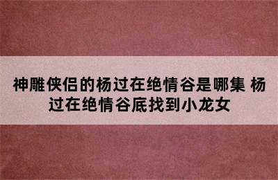 神雕侠侣的杨过在绝情谷是哪集 杨过在绝情谷底找到小龙女